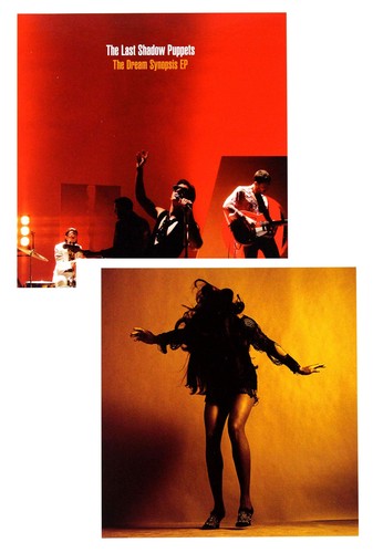 The last shadow puppets - the,