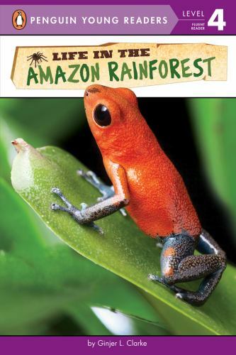 Life the amazon - in,
