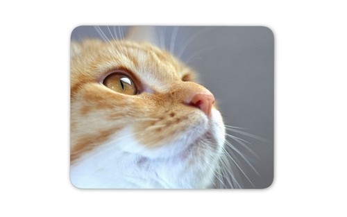 Beautiful ginger cat mouse mat - beautiful,