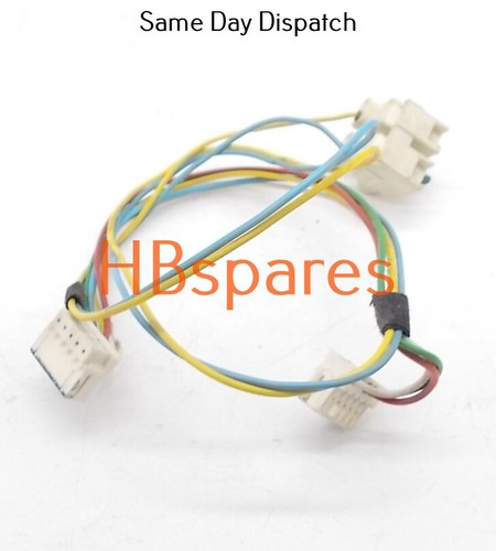 Glowworm ci and - ci,