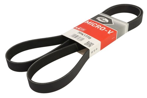 Gat multi ribbed belt fits - multi,