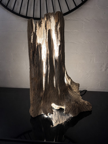 Natural driftwood sculptural - driftwood,