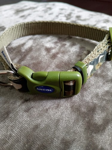 Dog collar for small - dog,