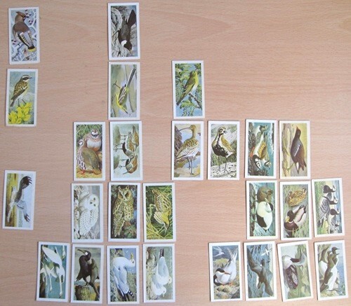 Brooke bond picture - picture, cards