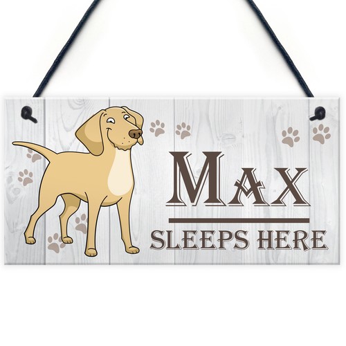 Cute pet dog sign sleeps - pet,