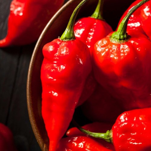 Pepper ghost chilli - ghost,
