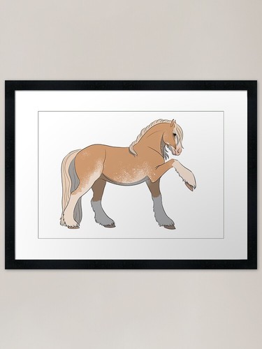 Gypsy cob palomino framed - -,