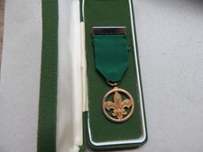 Boy Scouts  Medal of Merit in