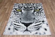 Quality Grey Green Eye Leopard