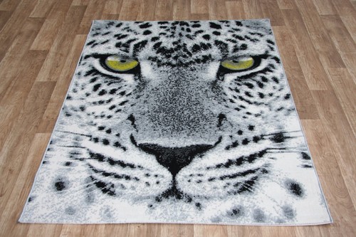 Quality grey green - eye, leopard
