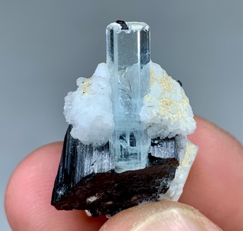 09gram natural terminated - 09gram,
