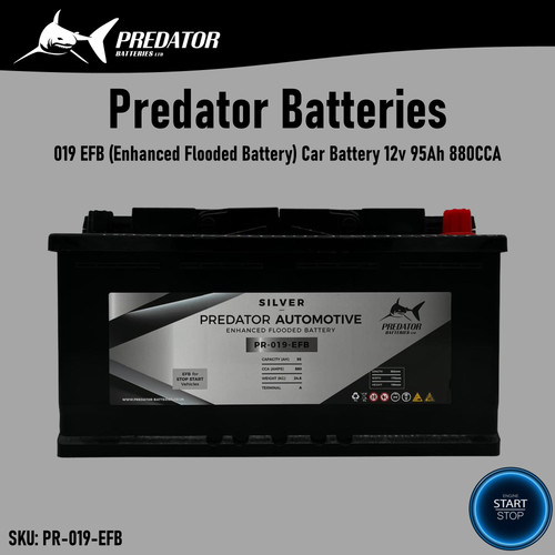 Predator batteries silver 019 - predator,