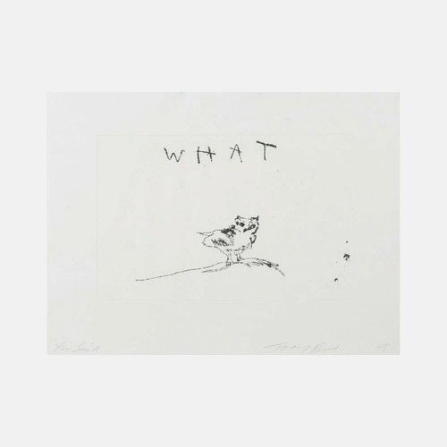 Tracey emin you said what - said,