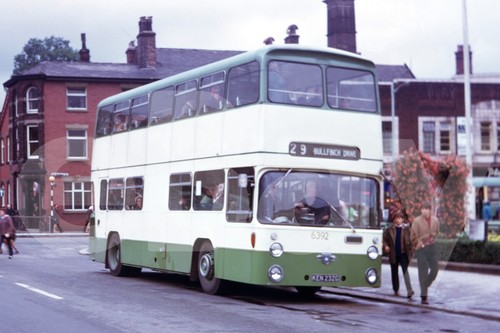 Bus photo selnec - bus,