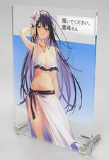 Takamine B6 Acrylic Panel