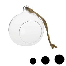 Terrarium Glass Plant