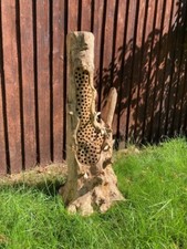 Large - Bumblebees on Root