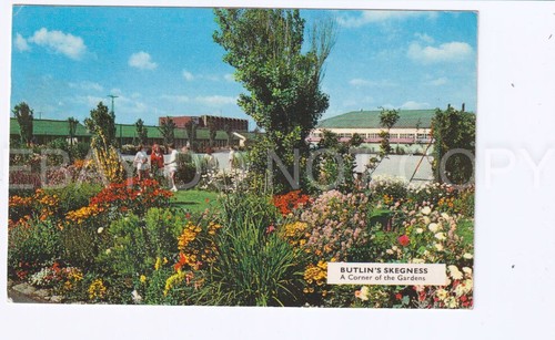 Postcard butlins skegness - d.,
