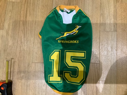 Dog coat springboks rugby - dog,