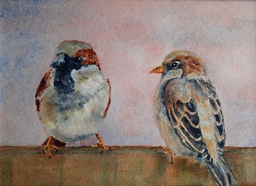 Original wildlife watercolour - wildlife,