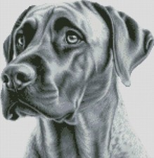 Complete Counted Cross Stitch