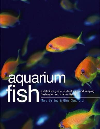 Aquarium fish definitive - aquarium, a