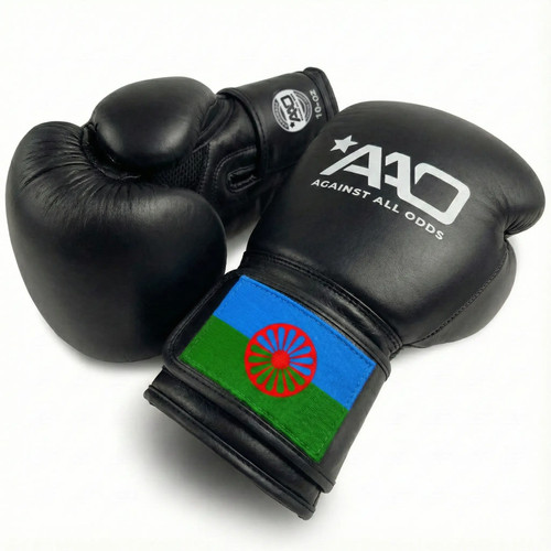 Sinti boxing gloves aao - boxing,