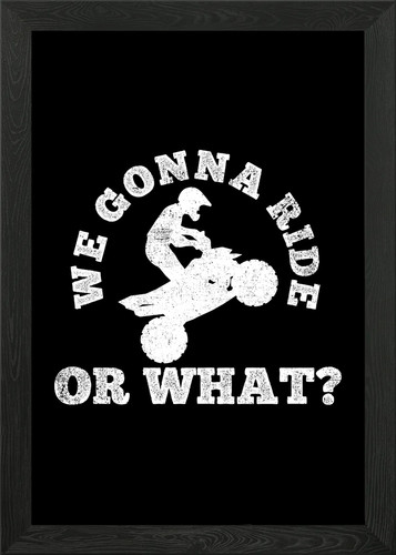 Quad riding biker - quad,