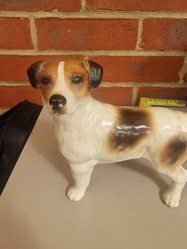 Jack russell terrier - russell,