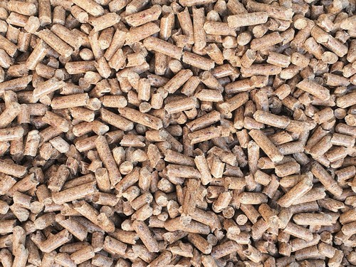 Wood based cat litter - cat,