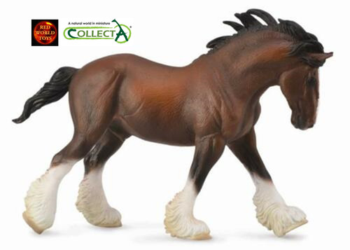 Clydesdale bay stallion horse - stallion,