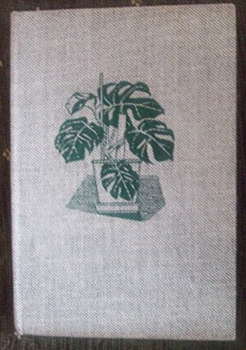 Indoor plants - indoor,