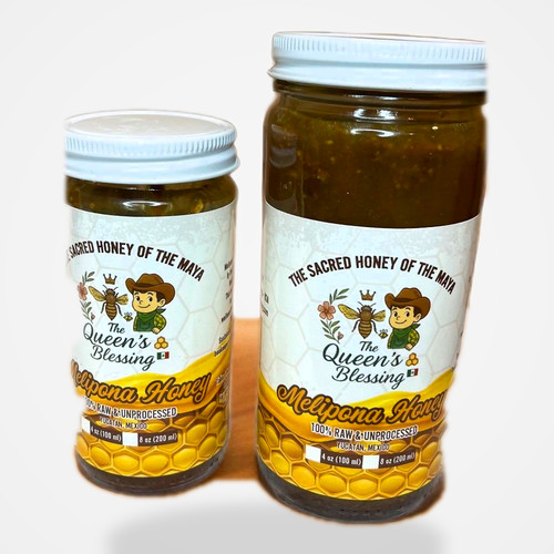 Melipona jimerito honey - melipona-jimerito, with