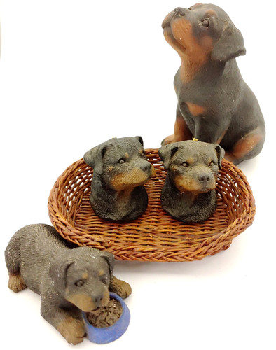 Vintage rottweiler dog - rottweiler,