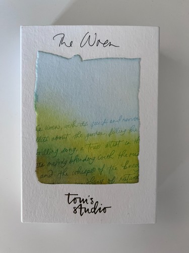 Tom studio wren pen - studio, +