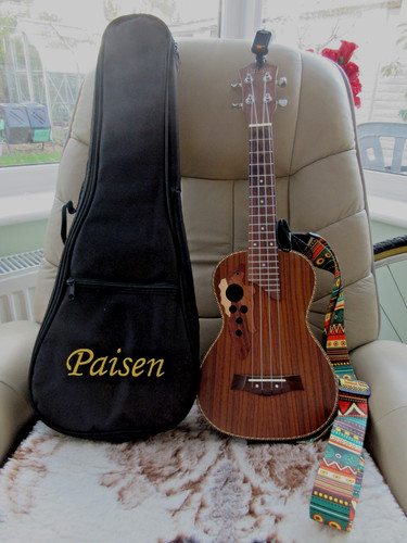 Paisen concert acoustic - concert,