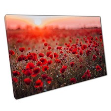 Vibrant Red Poppy Field