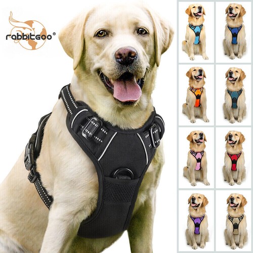 Rabbitgoo pull pet dog - rabbitgoo,