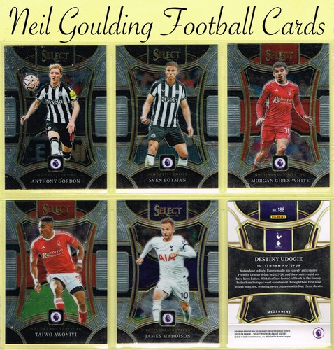 Panini select soccer - panini,