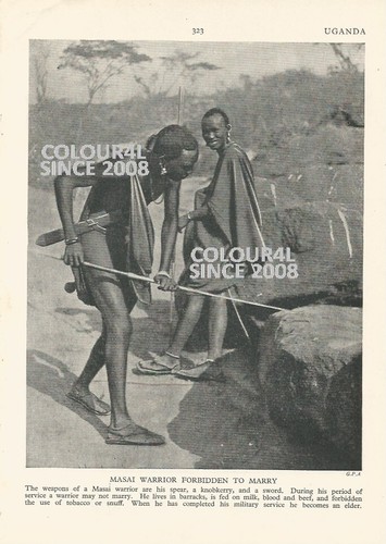 Uganda masai warrior spear - masai,