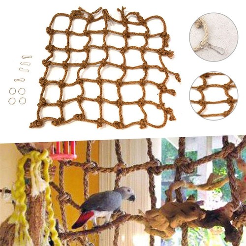 Birds climbing training - birds, rope