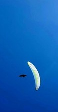 Paraglider airdesign volt - paraglider,
