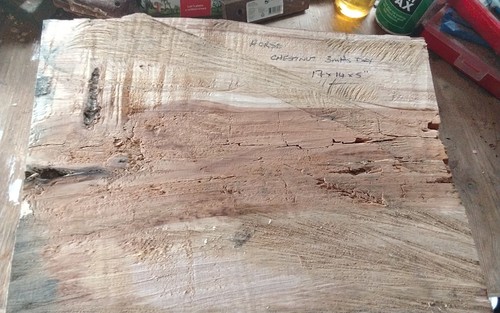 Large horse chestnut bowl - chestnut,
