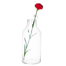Large Clear Glass Bottle Shaped Vases Flowers Aquarium Decorative Display Items