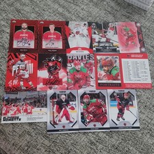 EIHL Cardiff Devils Card Bundle