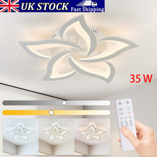 Modern LED Ceiling Light
