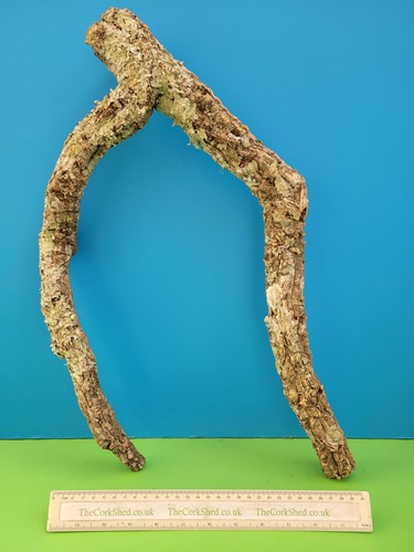 Cork bark branch - bark,