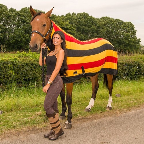 Horse newmarket cooler rug - horse,