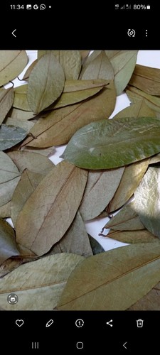 Dried soursop - dried,