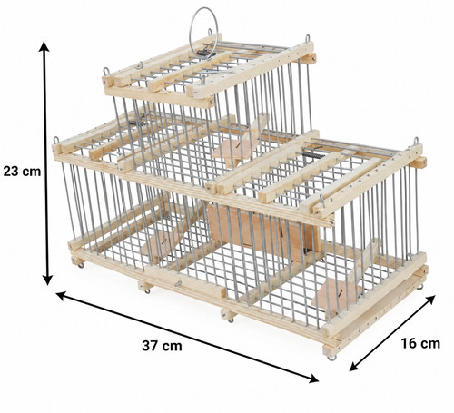 Bird trap cage - bird,